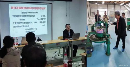 西盟縣農(nóng)科服務(wù)團佤鄉(xiāng)傳授茶科技，信息技術(shù)咨詢服務(wù)助力鄉(xiāng)村全面振興